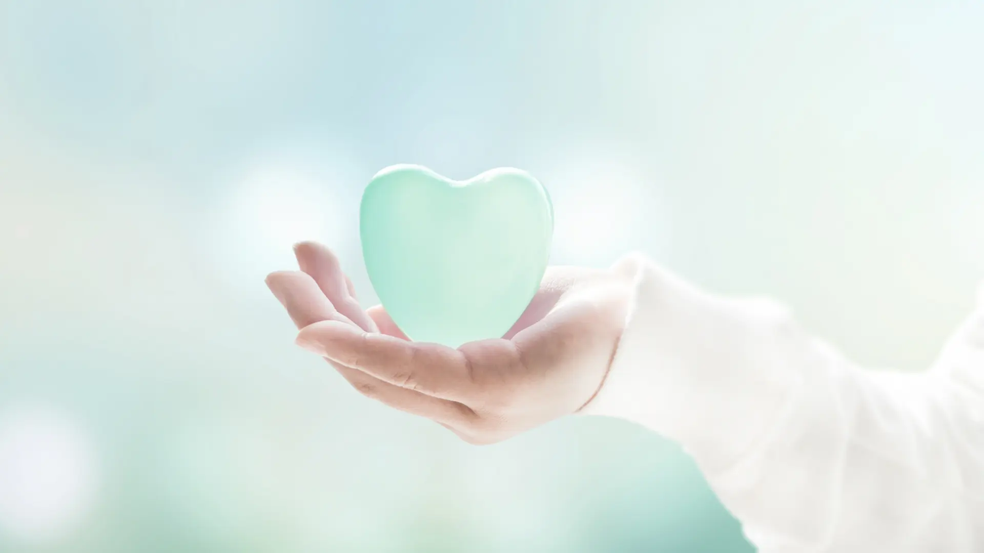 サステナビリティイメージ